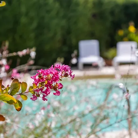 La Collina Di Montegrappa: With Private And Shared Pools
